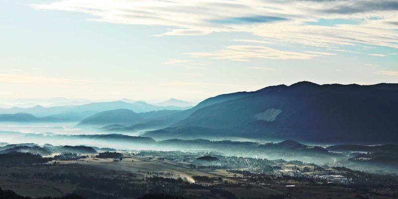 后疫情时代武汉中小企业破局之道：政策红利下的线上线下融合营销实战指南