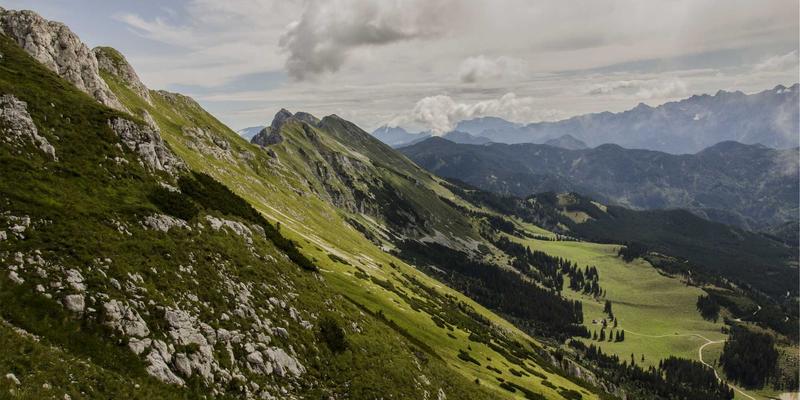 武汉中小企业37条新政深度解读：把握政策东风，激活商业新动能