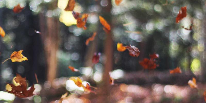 武汉中小企业主心理健康与压力管理：企业持续发展的软实力