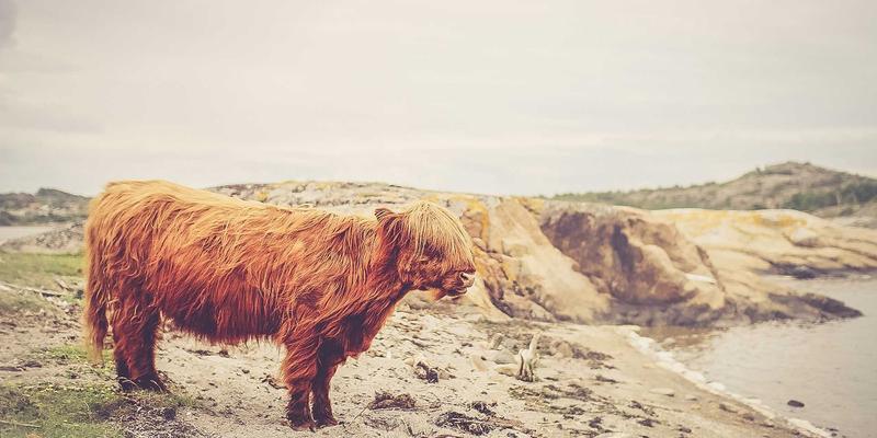 武汉中小企业主必修课：股权设计与激励方案实战解析