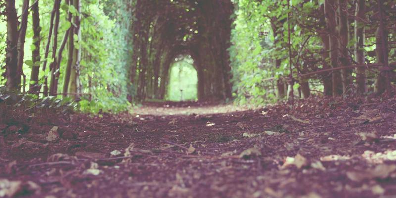 武汉中小企业发展评测：政策红利与商业机遇深度解读