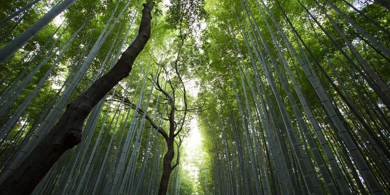 武汉中小企业国际市场拓展策略与跨境电商实操指南：企业服务与商业咨询赋能