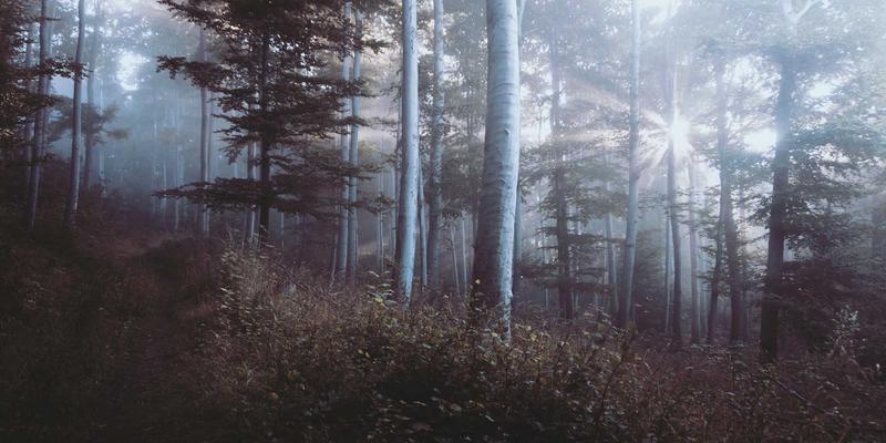 武汉中小企业如何借力工业互联网平台，走稳智能化升级之路