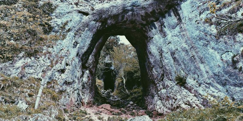 武汉中小企业如何借力自贸区政策红利：通关、退税与跨境贸易实操指南