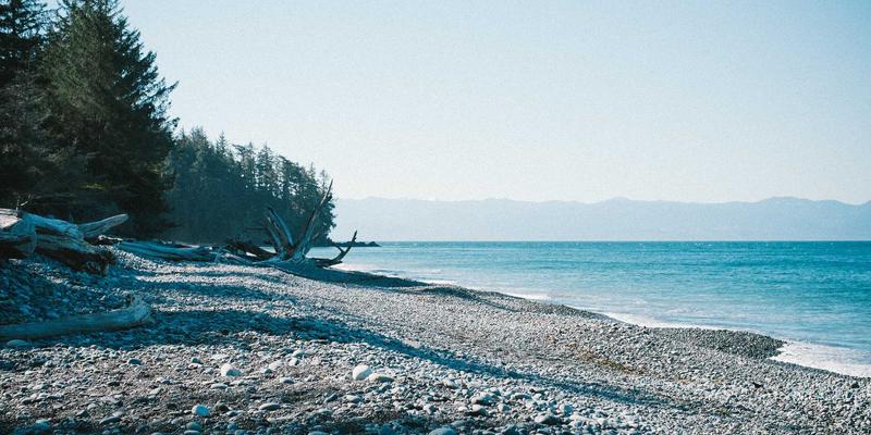 武汉中小企业必读：活用自贸片区政策红利，实现进出口业务高效通关操作指南
