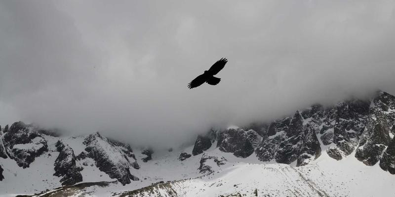 武汉中小企业数字化转型路径与成本效益分析：从工具选型到落地实践