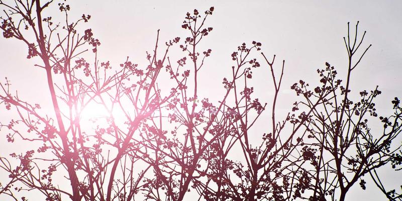 武汉中小企业科技创新与知识产权保护策略：政策解读与实战指南